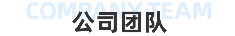 公司团队